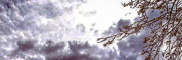 reshirobosonori Profile Banner