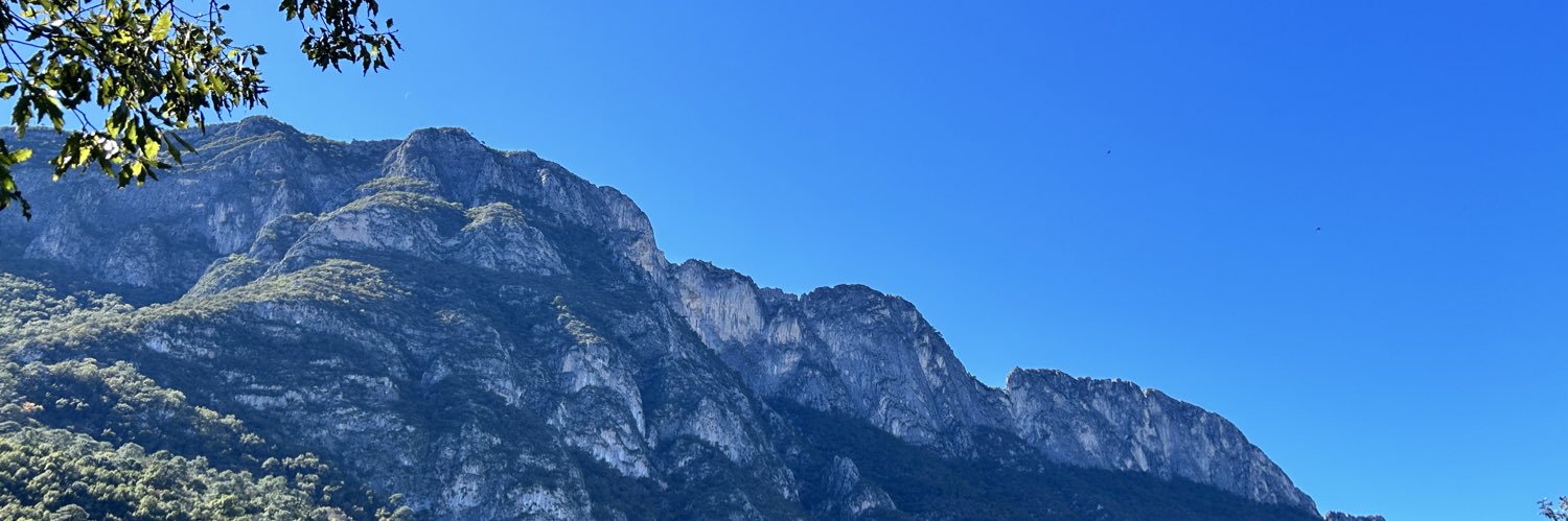 CeciAP09's profile banner image