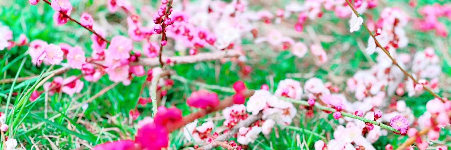 田口ランディ（Randy Taguch） banner