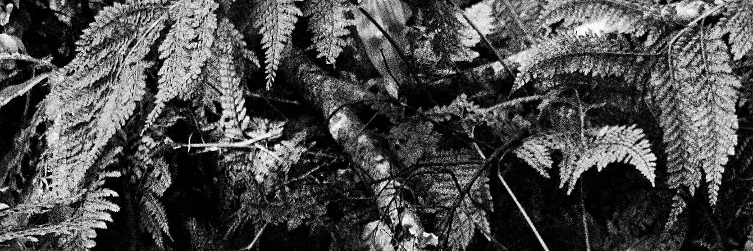 randieta's profile banner image