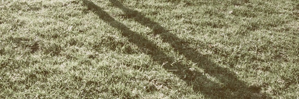 Early In The Morning banner