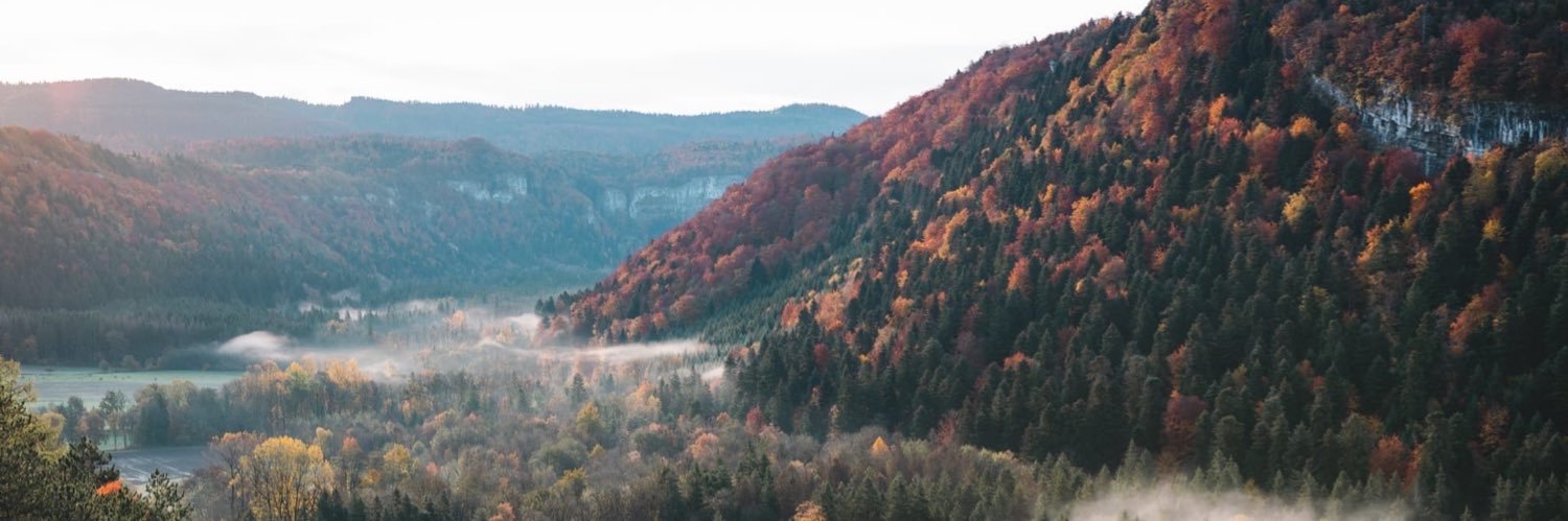 foresteyez's profile banner image