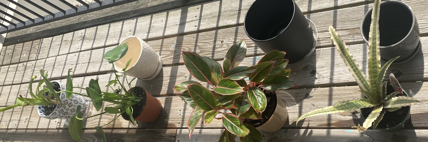 theycallherdimp's profile banner image