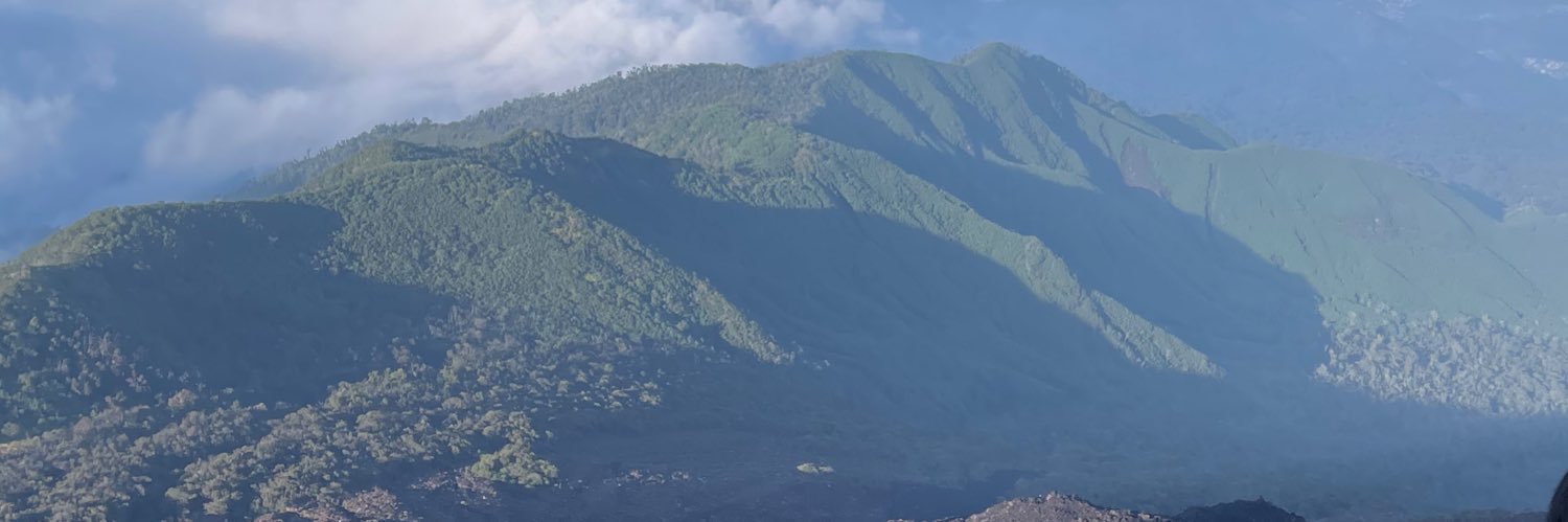 rianazila's profile banner image