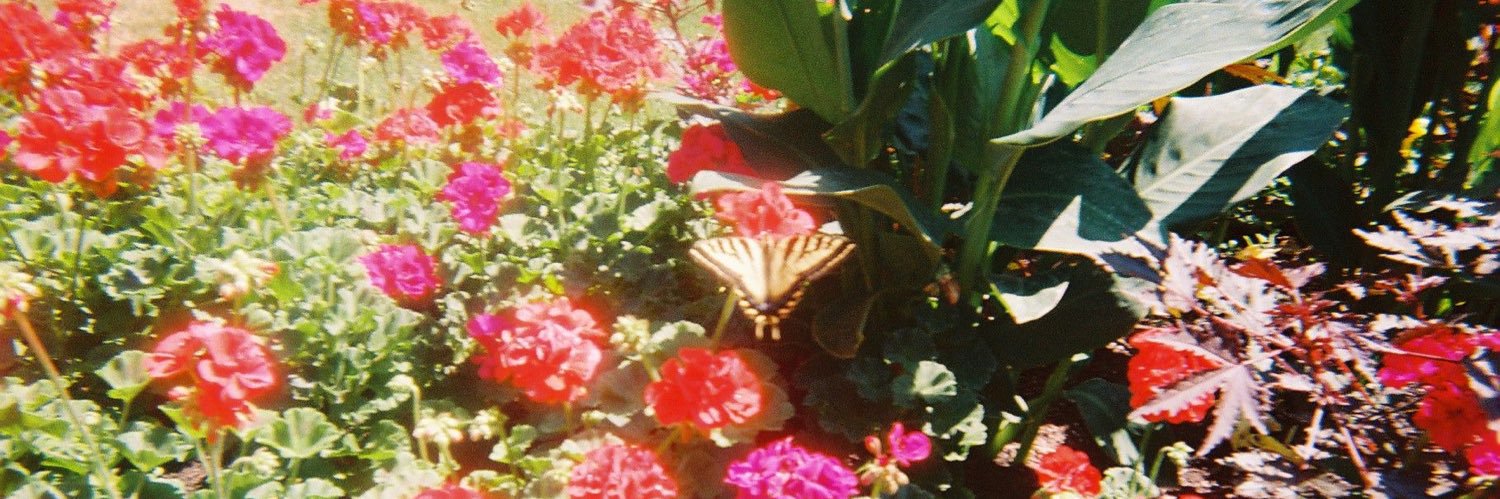 JamieHGoldberg's profile banner image