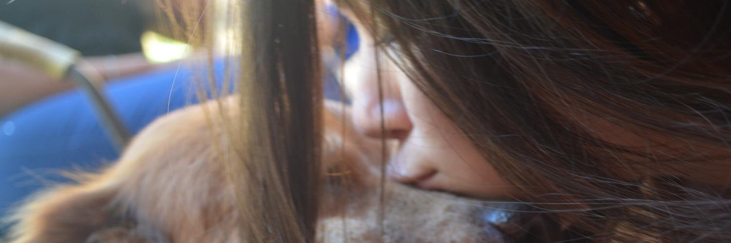 kareenduarte's profile banner image