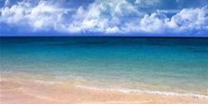 Free_Press4U banner