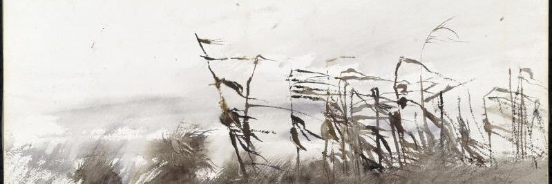 Matt Chambless banner