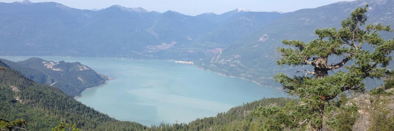 Pierre Leroux banner