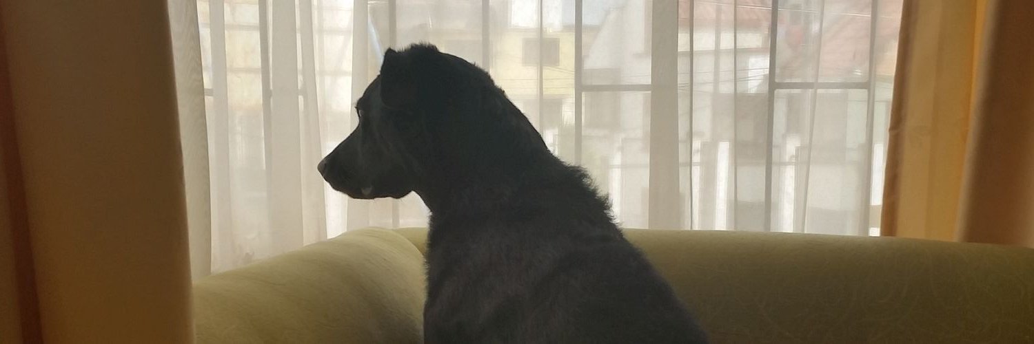 caroarcosp's profile banner image