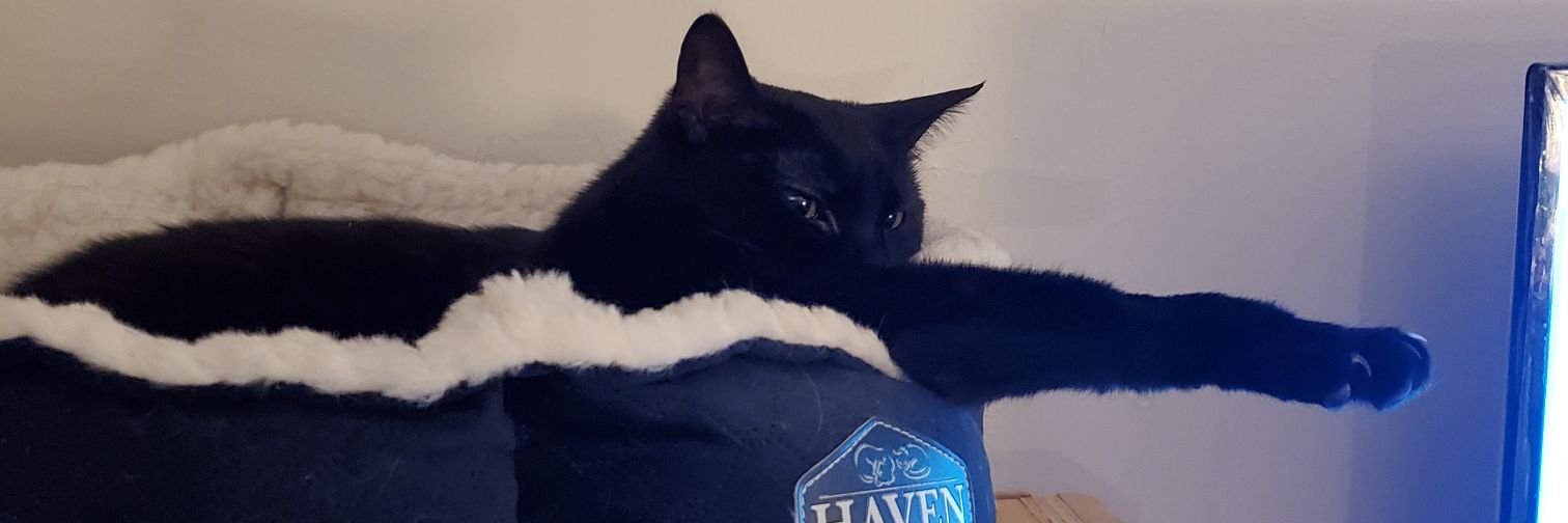 C.M. (she/her) banner