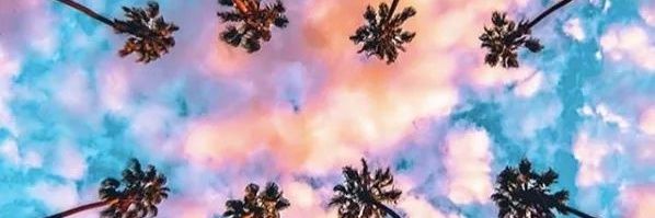 Lake Cunningham banner