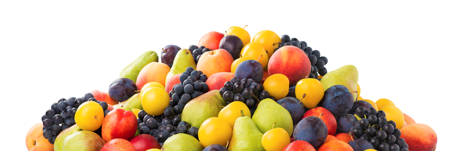 OntTenderFruit's profile banner image