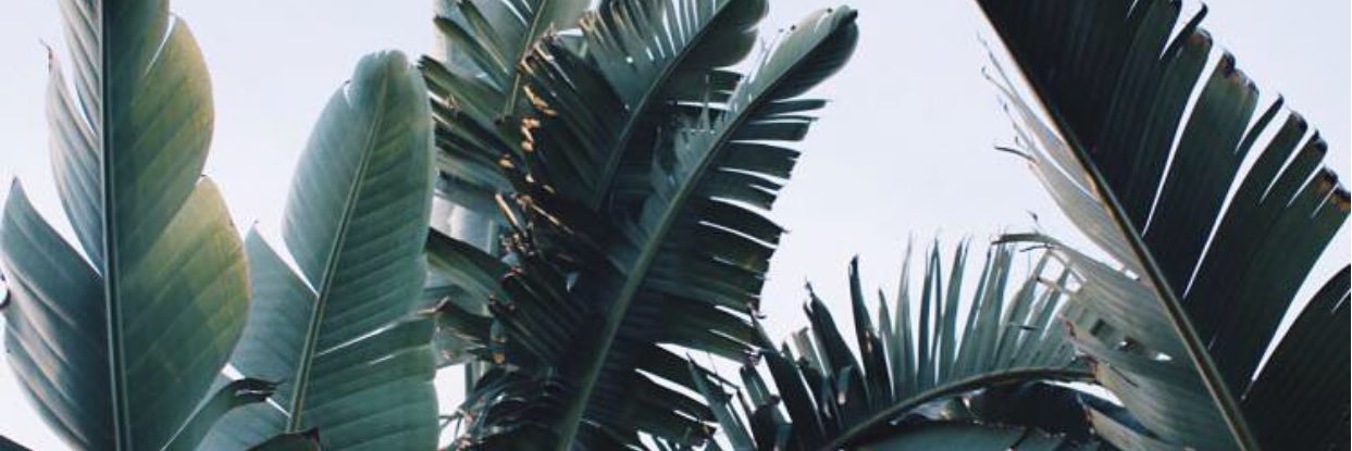 marigonzi_'s profile banner image