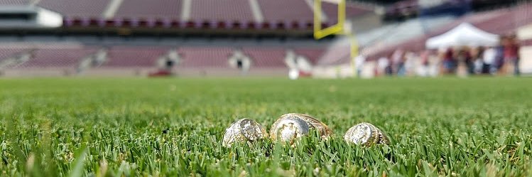Taylor97Wilson's profile banner image