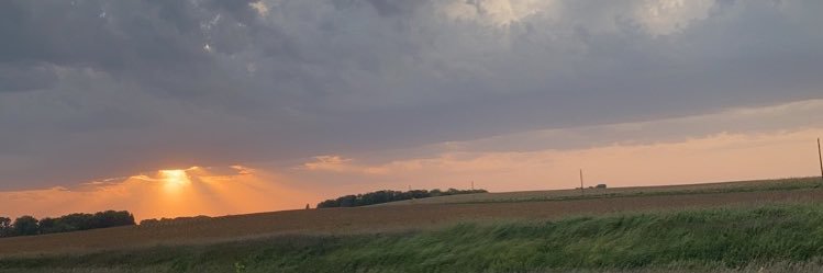 supgriz's profile banner image
