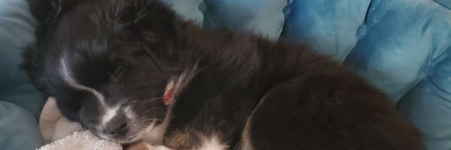 tloucks31's profile banner image