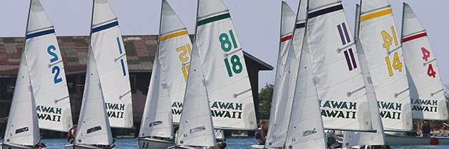DiggingNaWahine's profile banner image