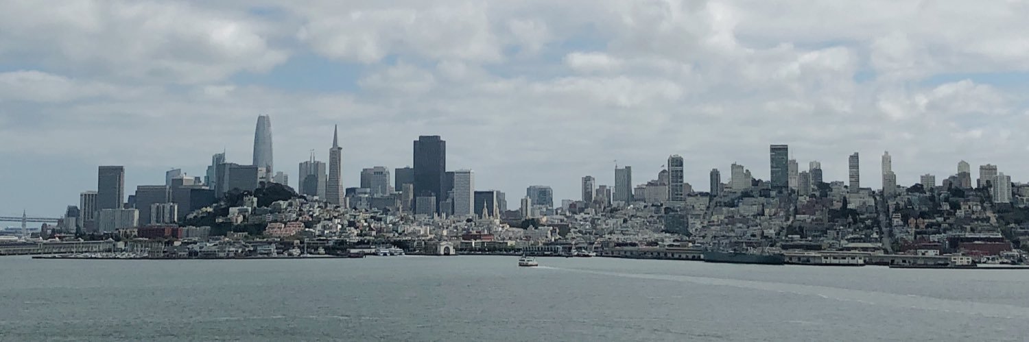 EM banner