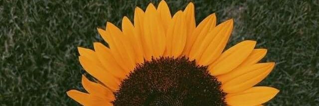 Zelt_dc's profile banner image