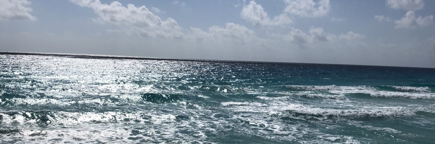 a_nevada's profile banner image