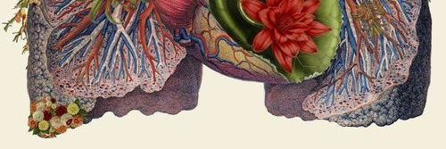 NieshaKumar's profile banner image
