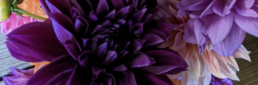 LIbbyEBaker's profile banner image