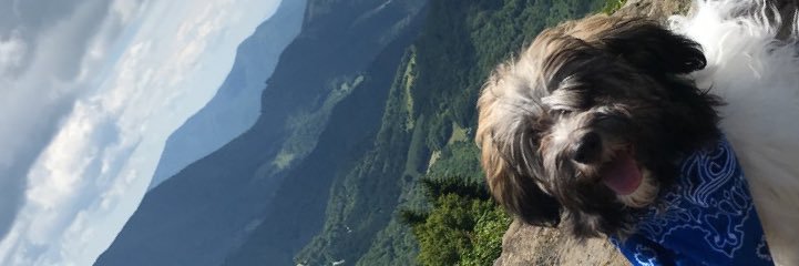 maddrose8's profile banner image