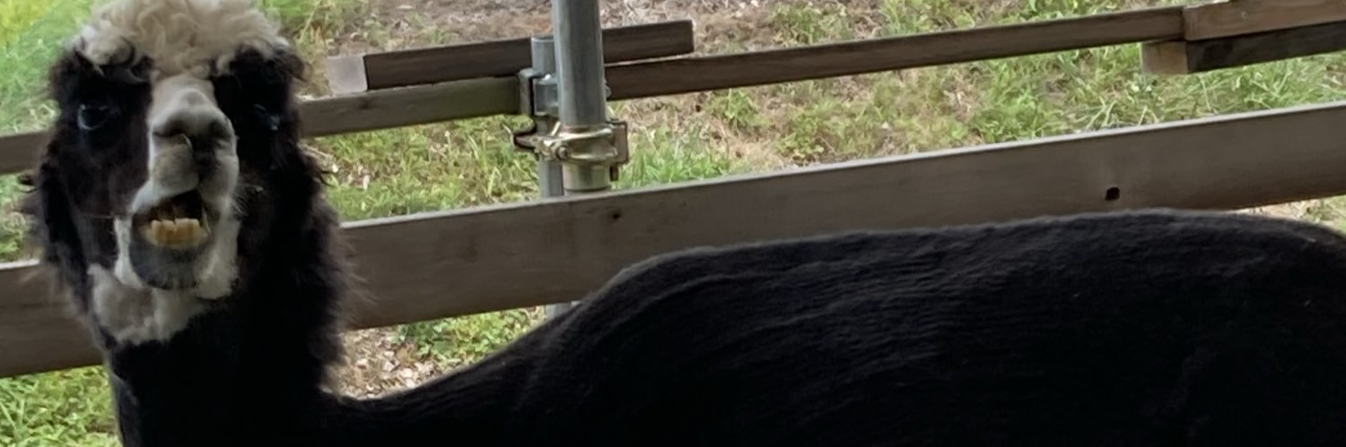 pocho330's profile banner image