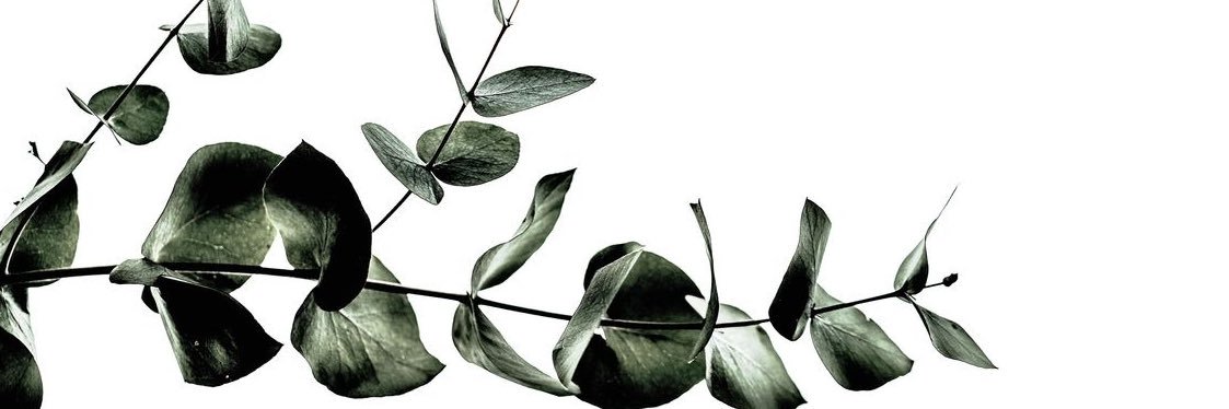 dmnique9's profile banner image
