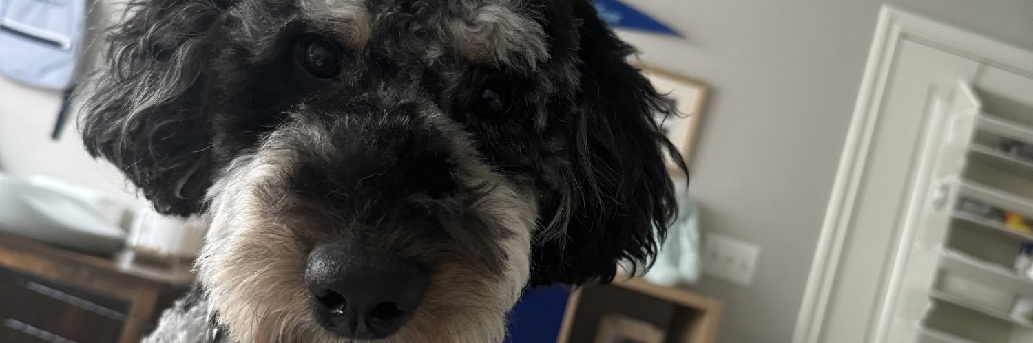 supitslysss's profile banner image