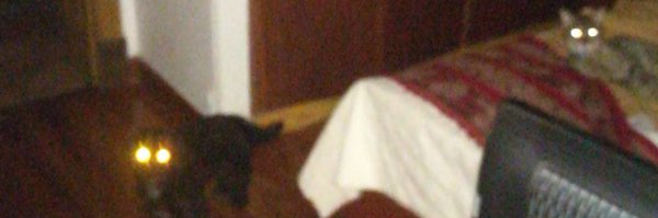 maticapararc Profile Banner