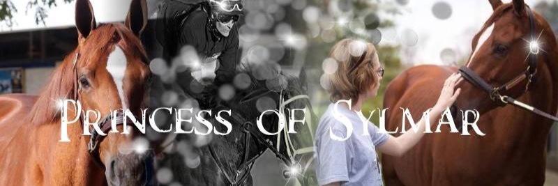 Dream_Writer_'s profile banner image