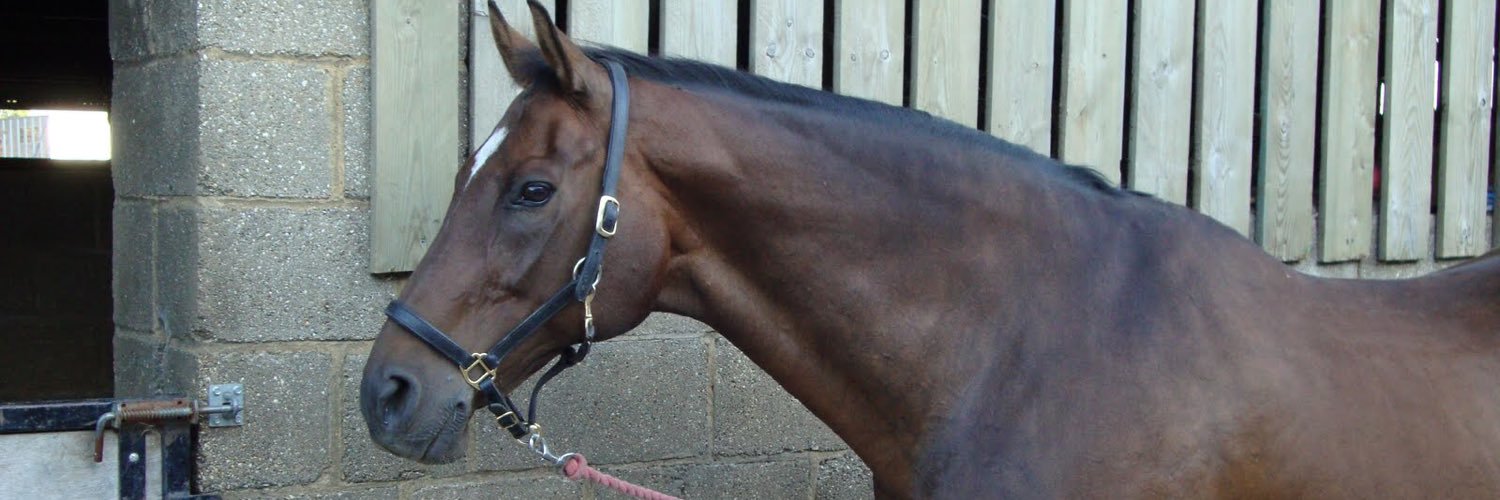 Smokeymum's profile banner image