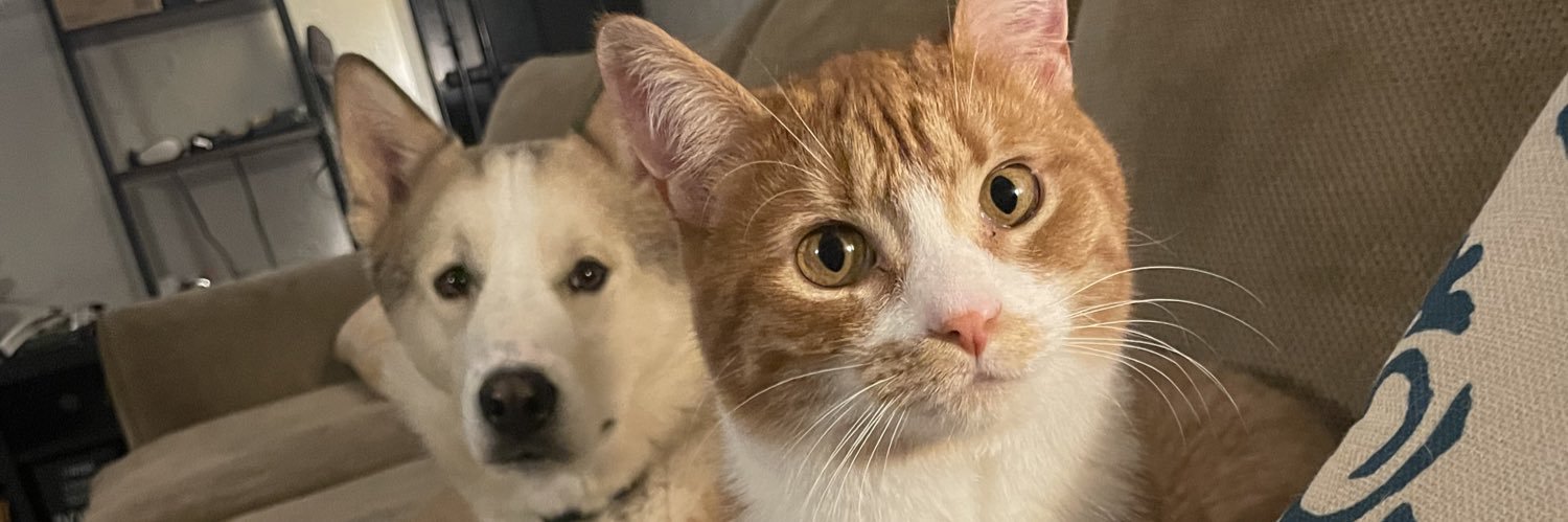 caitharrison_'s profile banner image