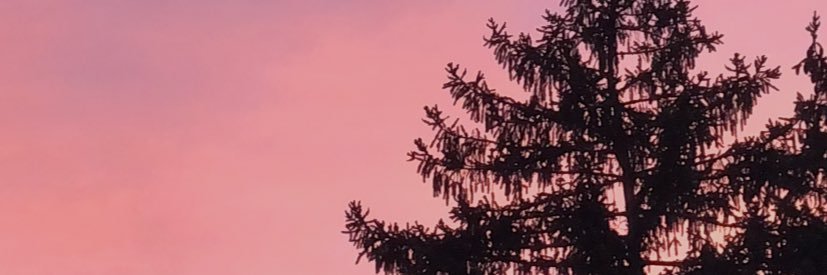 EmilyGroarke's profile banner image