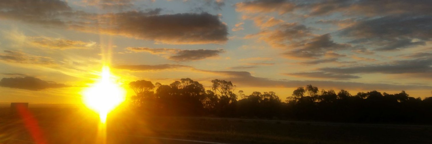 Cath_Clark's profile banner image