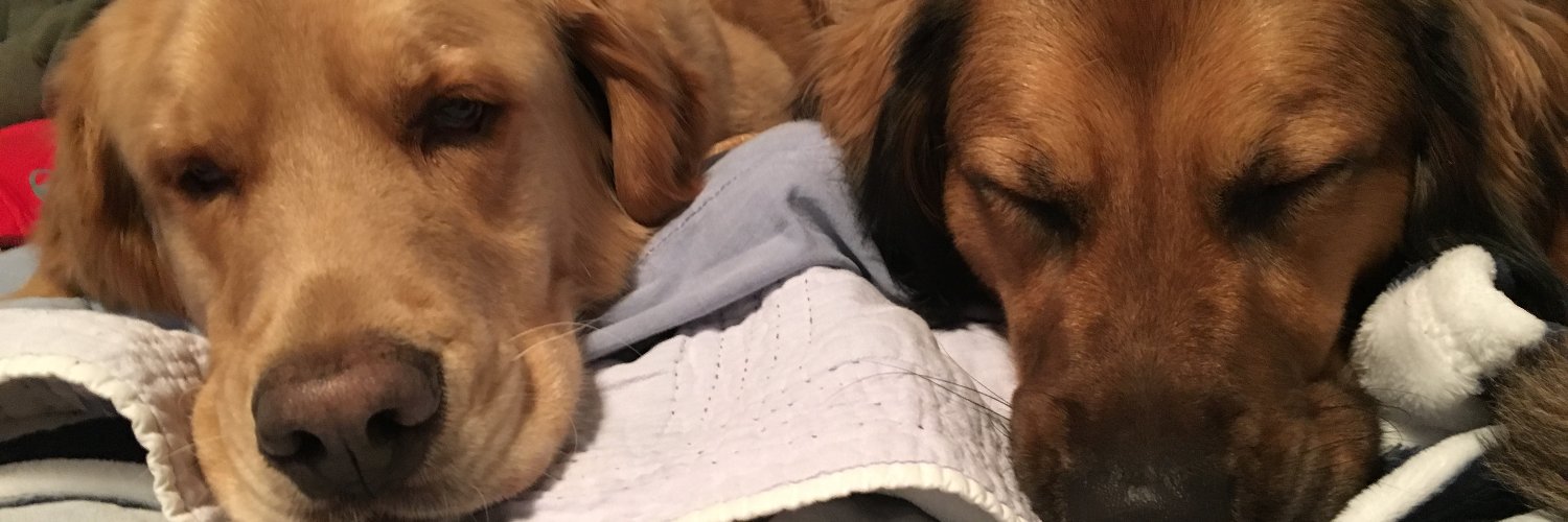 nan_sumner's profile banner image