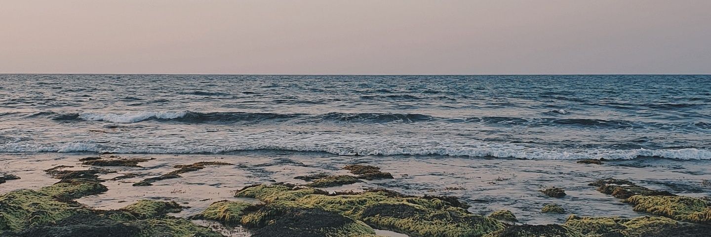 TheevoiCED's profile banner image