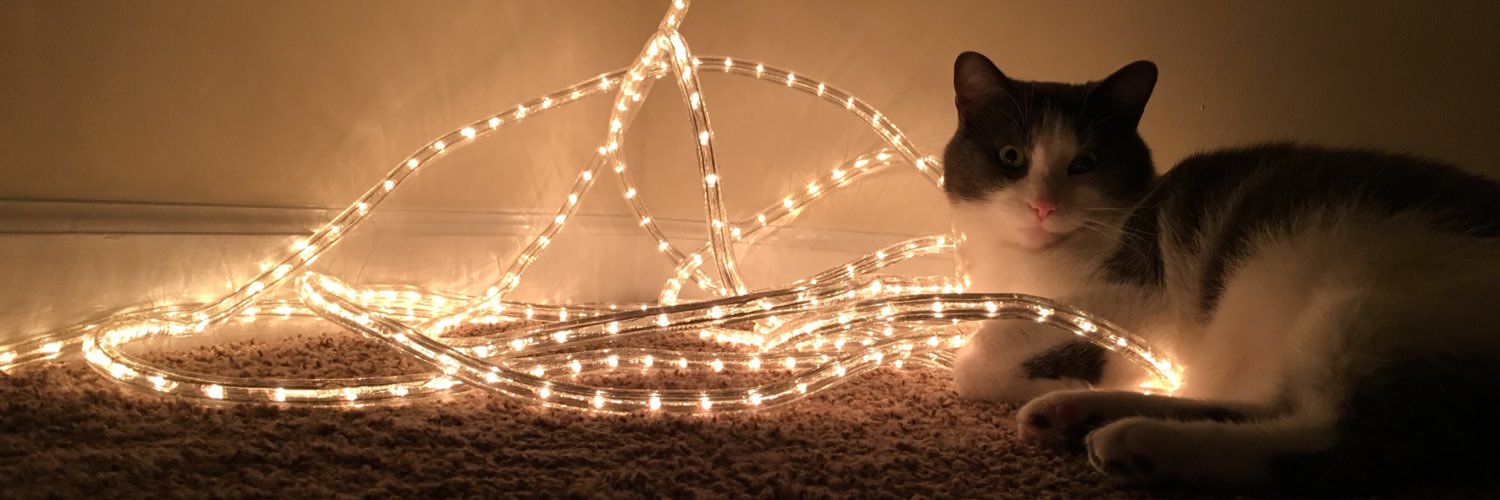 jackiekay29's profile banner image