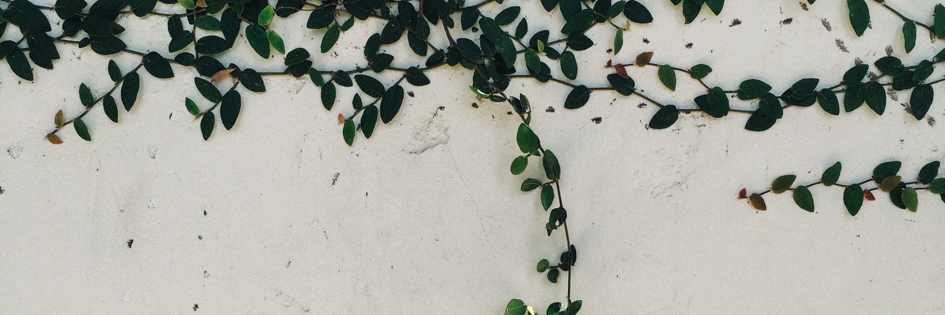 itsme_v's profile banner image