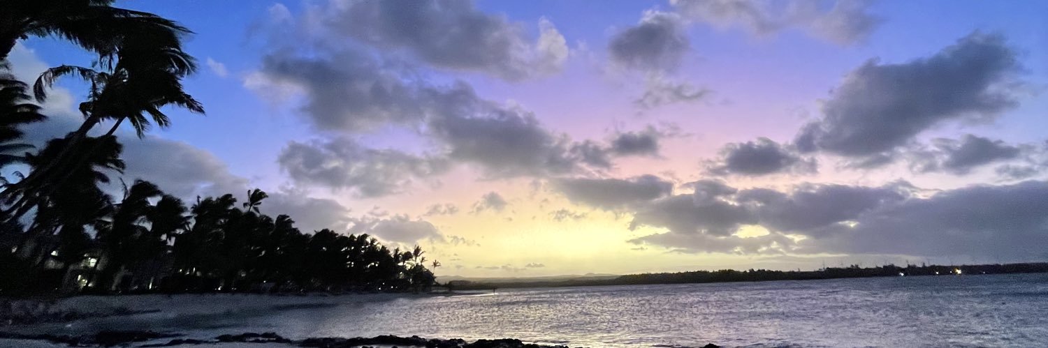HBAlolayan's profile banner image