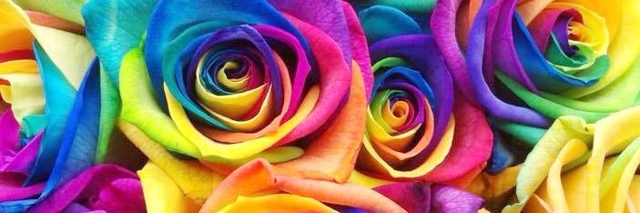 Mrs_ppat's profile banner image
