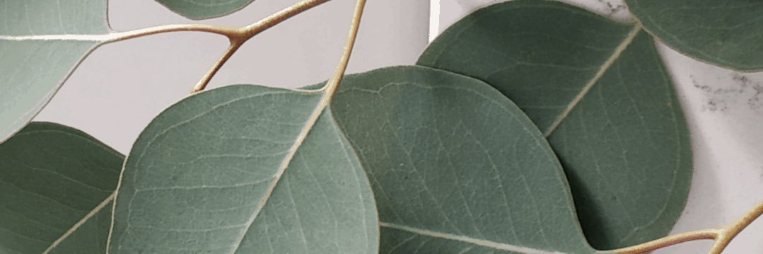 sandford28's profile banner image