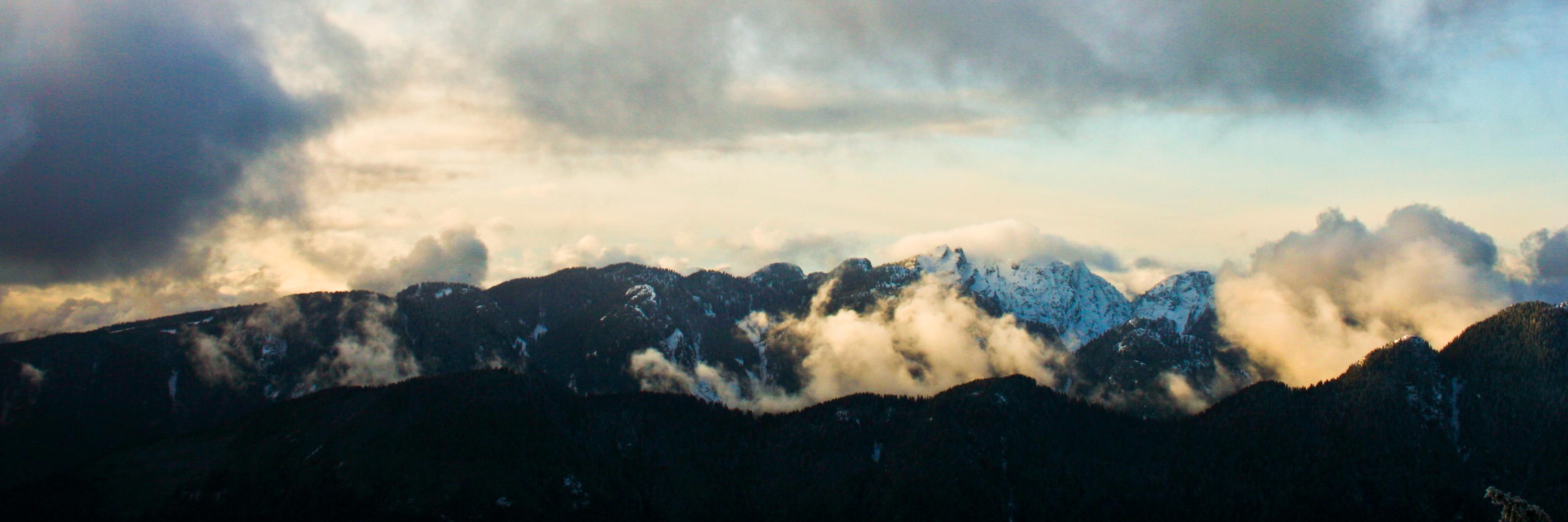 estherbatycki's profile banner image