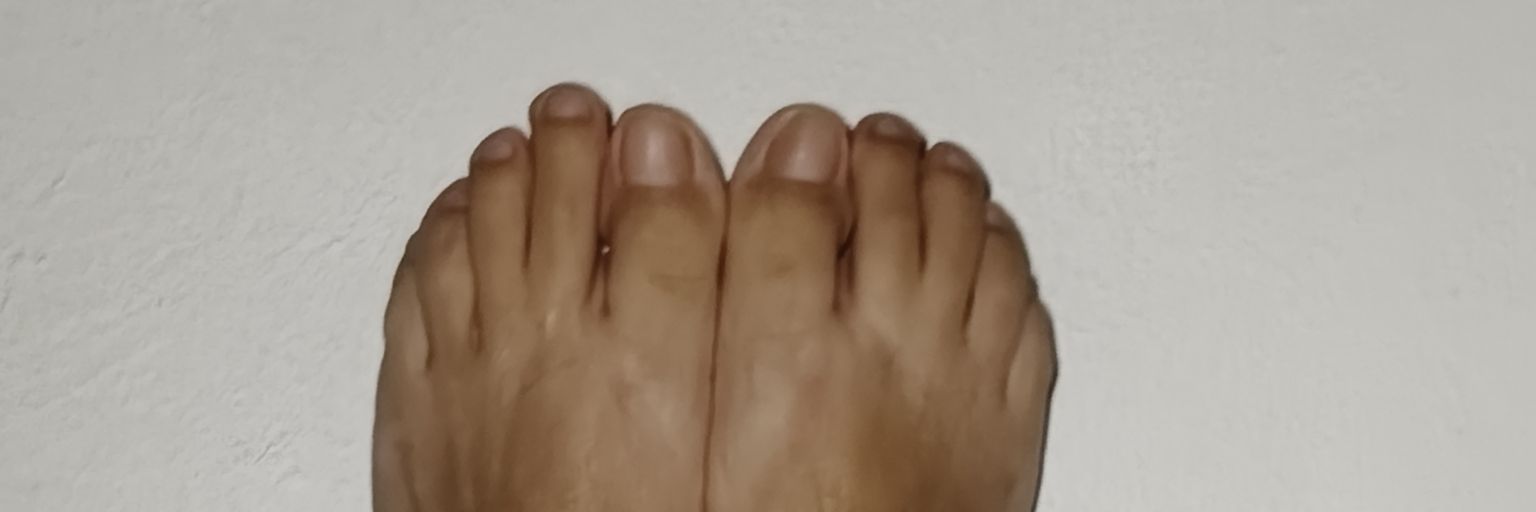 toñeco banner