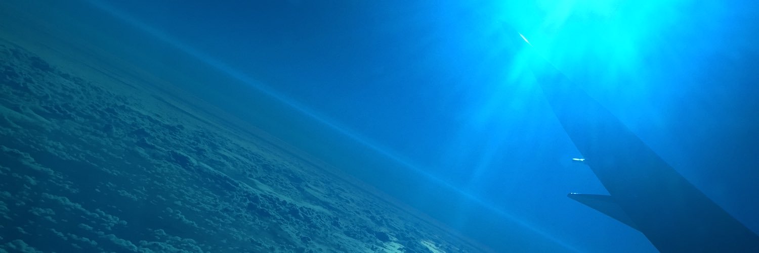 SilverFlower88's profile banner image