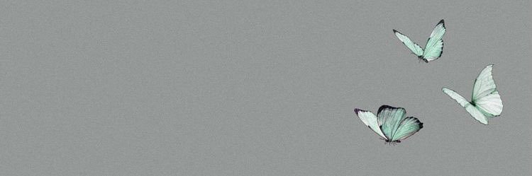 baileyangle_'s profile banner image