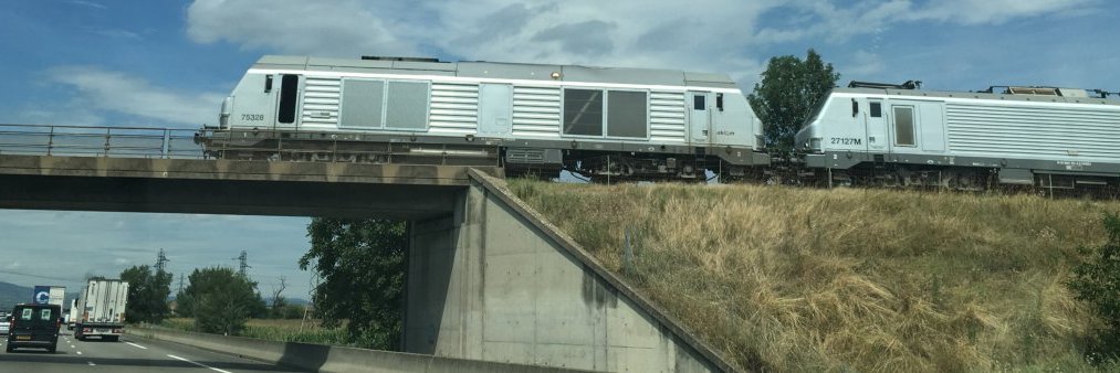 Dominique Hasselmann 🇺🇦°/° 🇮🇷 🇬🇱 ✊ 🇺🇸 banner