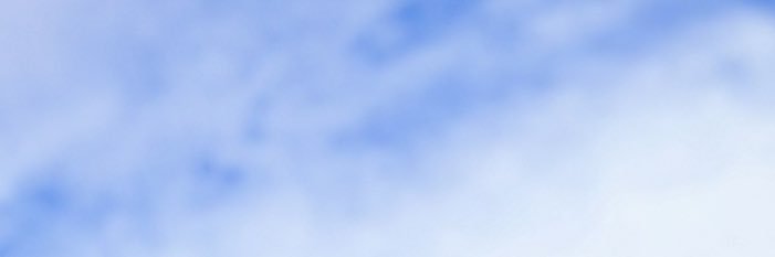 C.J. Pollard's banner
